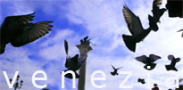 venezia